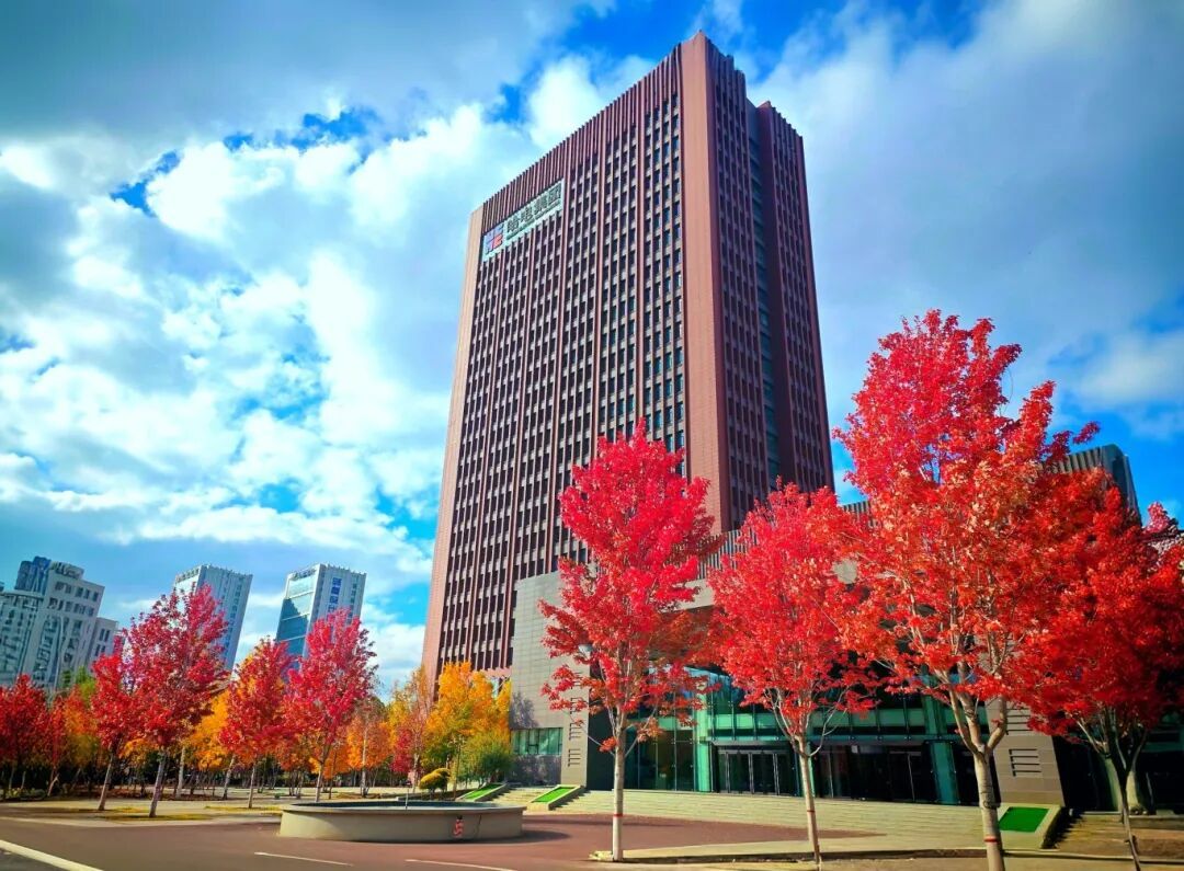 FC6269F9D1824163499FF80565C_42FE6ECE_2B491