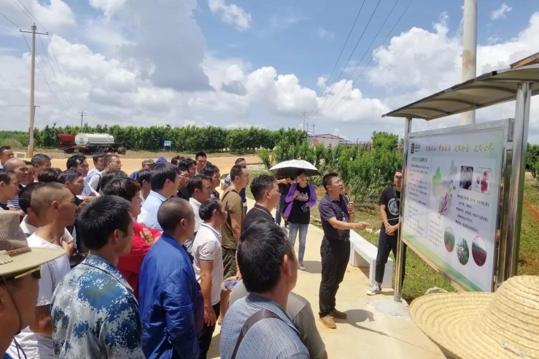 Z6·尊龙凯时「中国区」官方网站